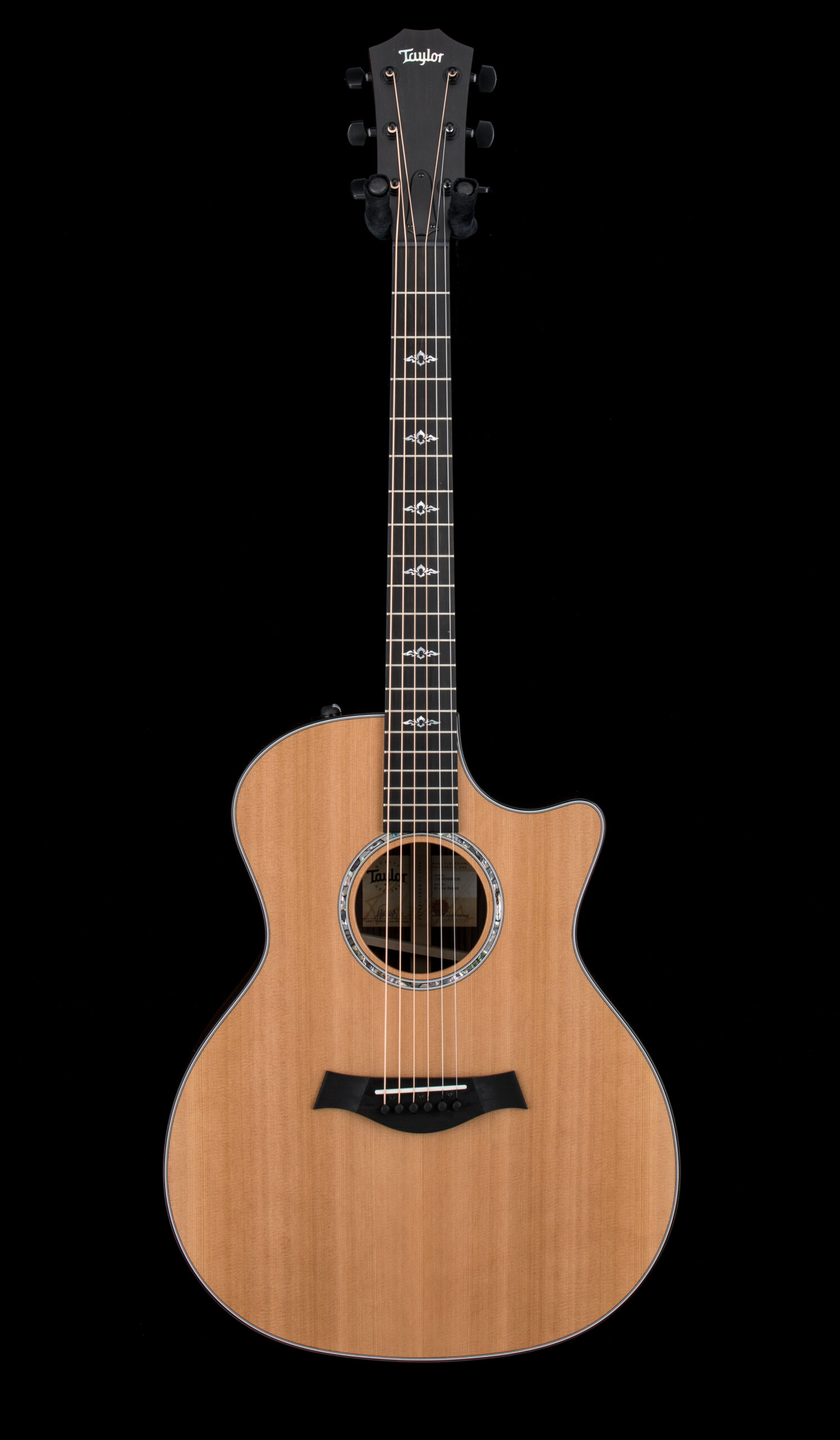 Taylor Empire Select 414ce Rosewood/Western Red Cedar, Black Binding